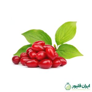 اسانس مایع ذغال اخته