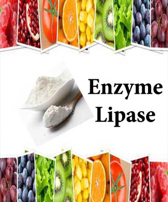 آنزیم لیپاز چیست