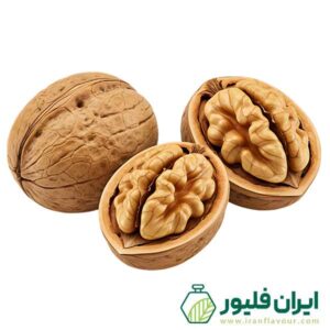 اسانس گردو
